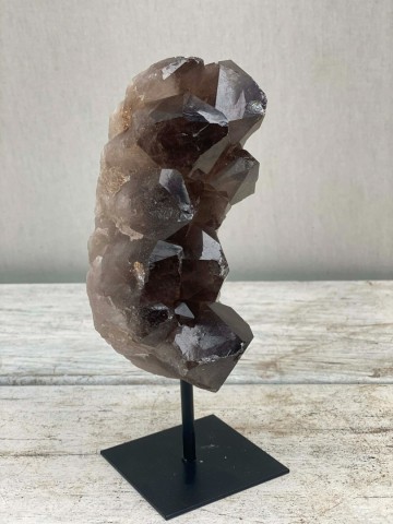 024 rookkwarts op standaard brazilie nr 024 1