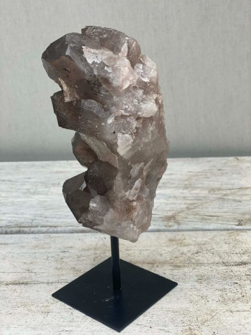 024 rookkwarts op standaard brazilie nr 024 3