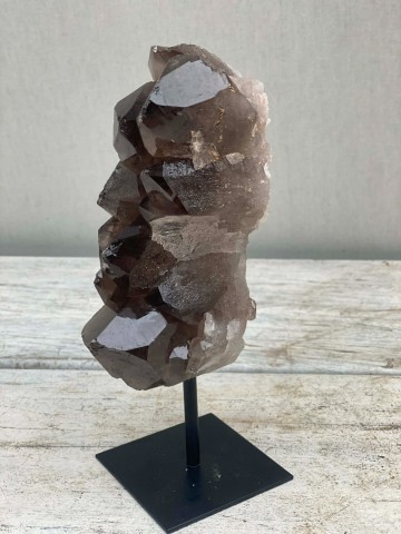 024 rookkwarts op standaard brazilie nr 024 4