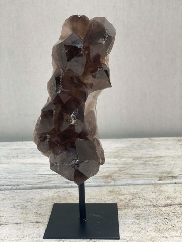 024 rookkwarts op standaard brazilie nr 024 5