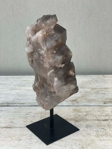 024 rookkwarts op standaard brazilie nr 024 6