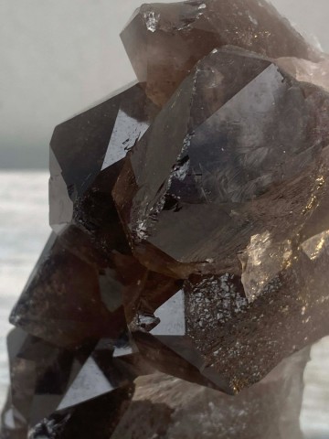 024 rookkwarts op standaard brazilie nr 024 7