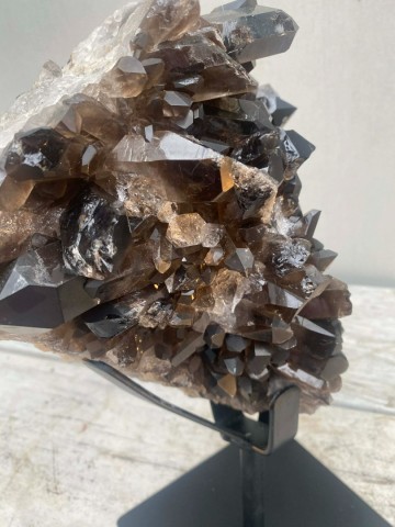 025 rookkwarts op standaard brazilie nr 025 10