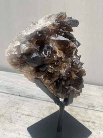 025 rookkwarts op standaard brazilie nr 025 4