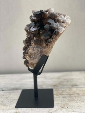 025 rookkwarts op standaard brazilie nr 025 6