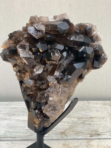 025 rookkwarts op standaard brazilie nr 025 9