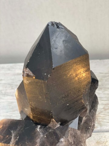 026 rookkwarts op standaard brazilie nr 026 8