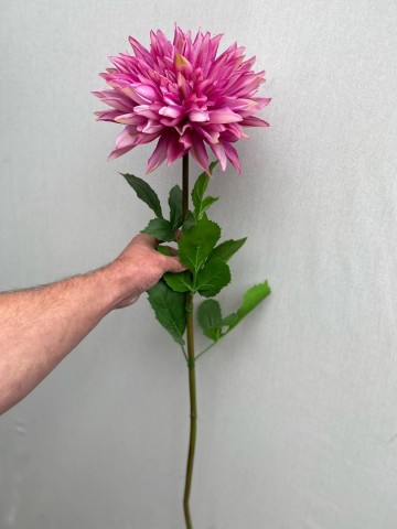 1 dahlia zijde nr 1 3