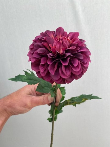 10 dahlia pompon zijde nr 10 1