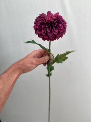 10 dahlia pompon zijde nr 10 2