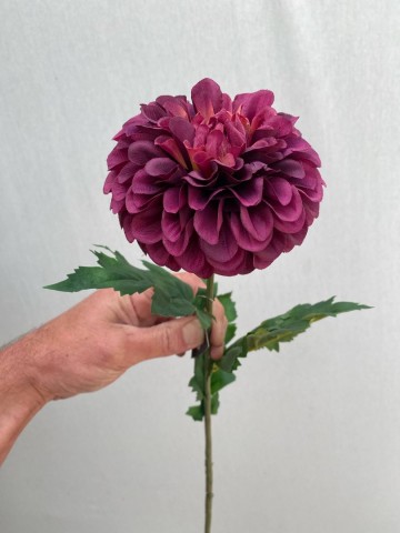 10 dahlia pompon zijde nr 10 3