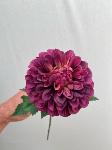 10 dahlia pompon zijde nr 10 4
