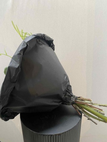 109 boeket zijde amaryllis rozen gloriosa nr 109 5