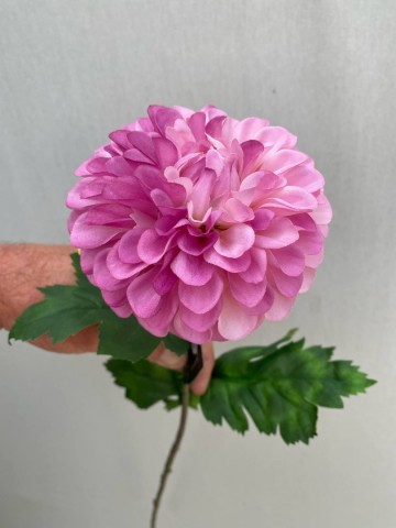 11 dahlia pompon zijde nr 11 1