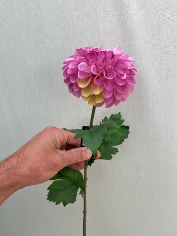 11 dahlia pompon zijde nr 11 2