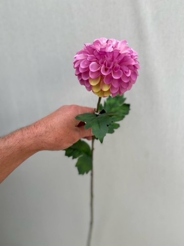 11 dahlia pompon zijde nr 11 4