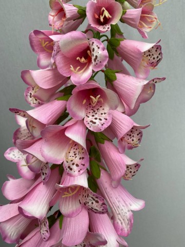 12 digitalis zijde nr 12 3