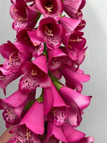 13 digitalis zijde nr 13 4