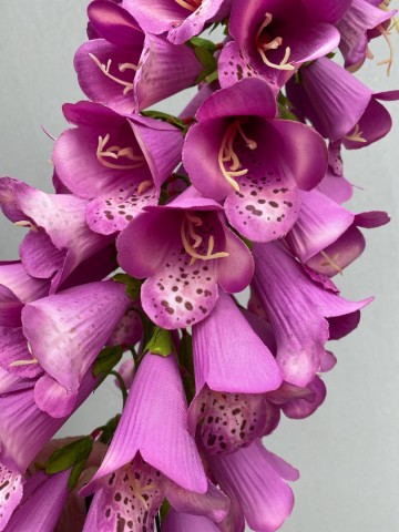 14 digitalis zijde nr 14 4