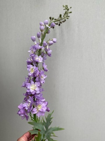 15 delphinium zijde nr 15 1