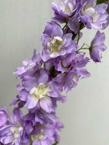 15 delphinium zijde nr 15 2