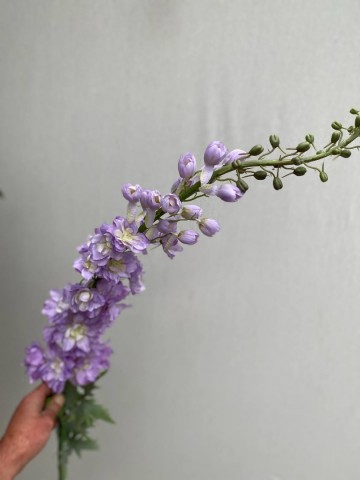 15 delphinium zijde nr 15 5