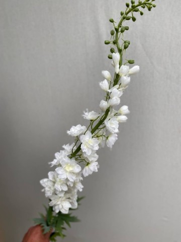 16 delphinium zijde nr 16 2