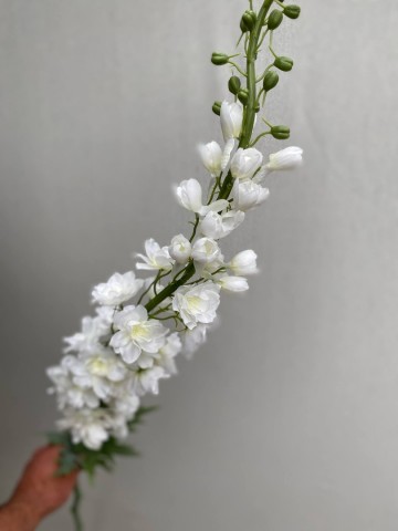 16 delphinium zijde nr 16 4