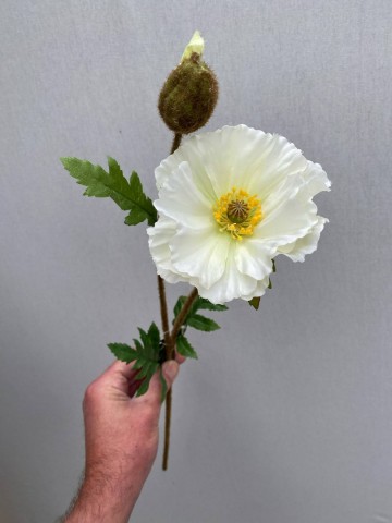 19 papaver zijde nr 19 1