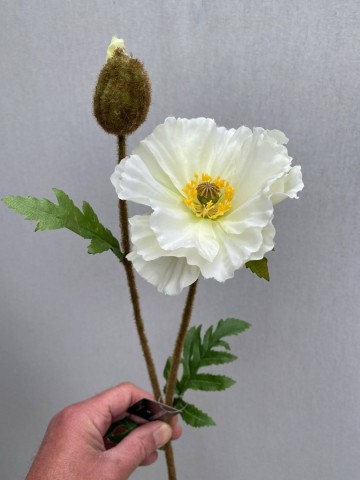 19 papaver zijde nr 19 2