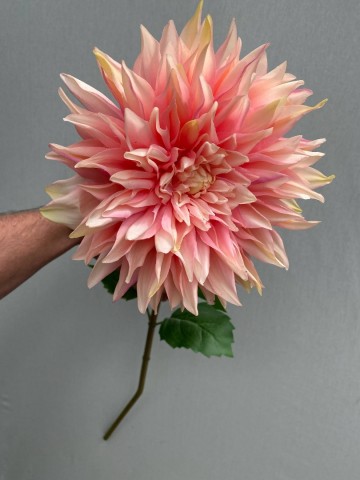 2 dahlia zijde nr 2 5