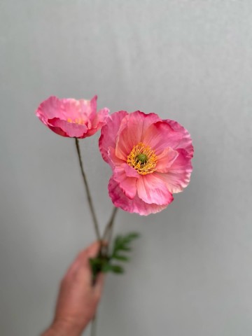 20 papaver zijde nr 20 2