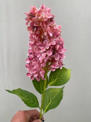 22 pluimhortensia zijde nr 22 1