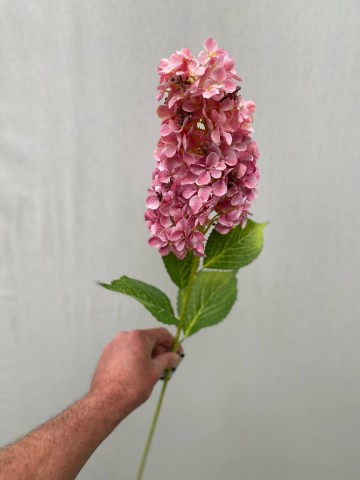 22 pluimhortensia zijde nr 22 3