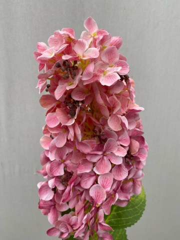 22 pluimhortensia zijde nr 22 4