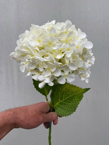 23 hortensia zijde nr 23 1