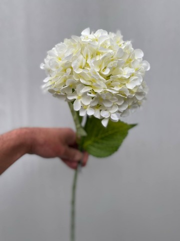 23 hortensia zijde nr 23 2