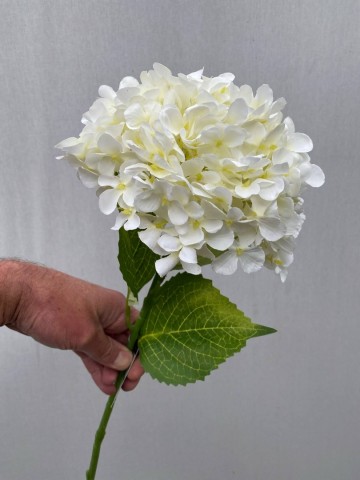 23 hortensia zijde nr 23 3