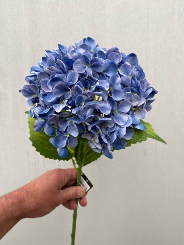 24 hortensia zijde nr 24 1