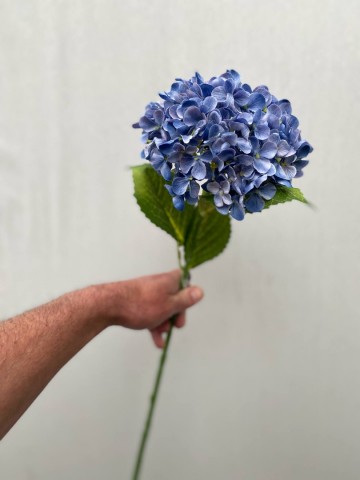 24 hortensia zijde nr 24 2