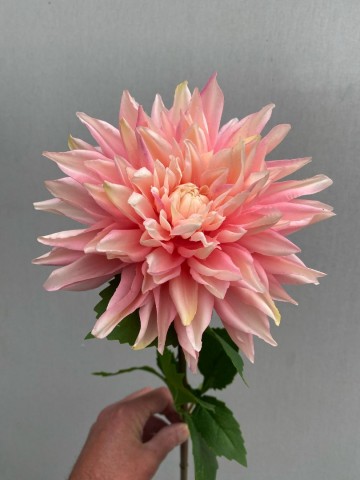 3 dahlia zijde nr 3 1