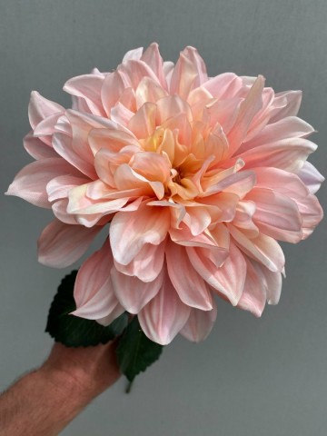 5 dahlia zijde nr 5 4