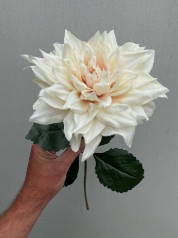 6 dahlia zijde nr 6 1