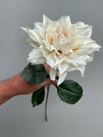 6 dahlia zijde nr 6 2