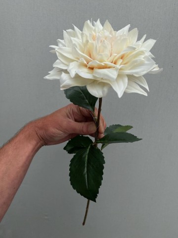 6 dahlia zijde nr 6 3