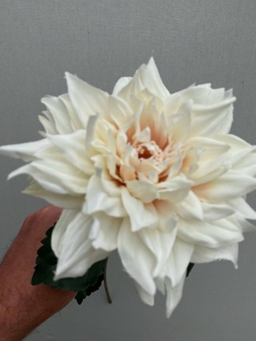 6 dahlia zijde nr 6 4