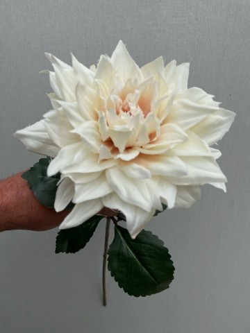 6 dahlia zijde nr 6 5