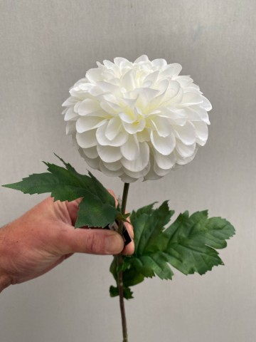8 dahlia zijde nr 8 1