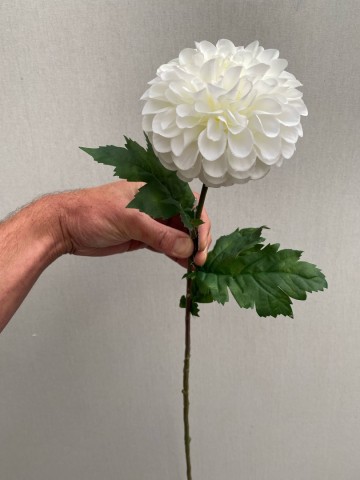 8 dahlia zijde nr 8 2