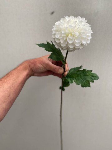 8 dahlia zijde nr 8 3